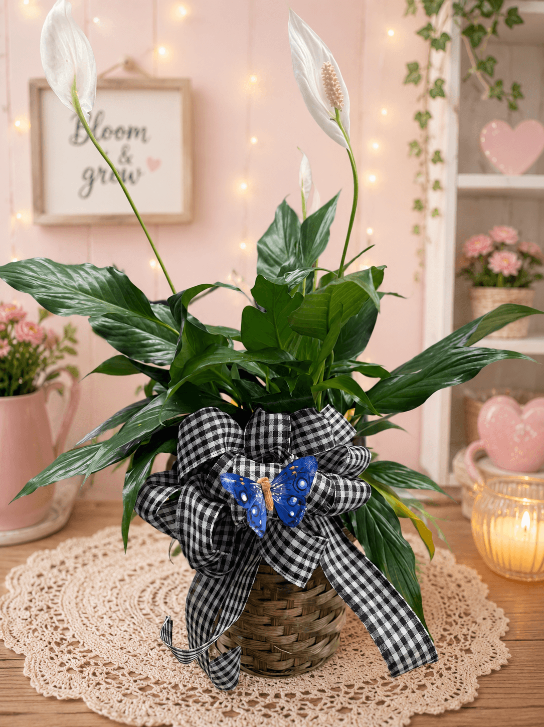 Potted Plants